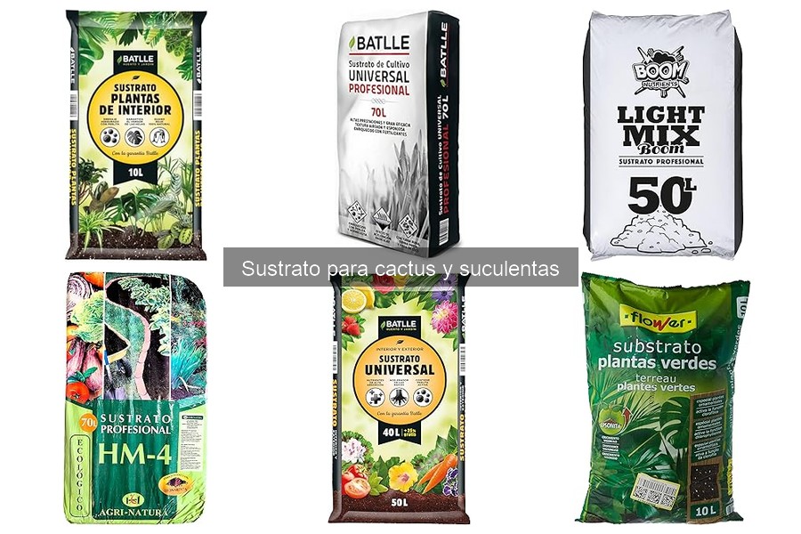 Alternativas al sustrato comercial para cactus y suculentas