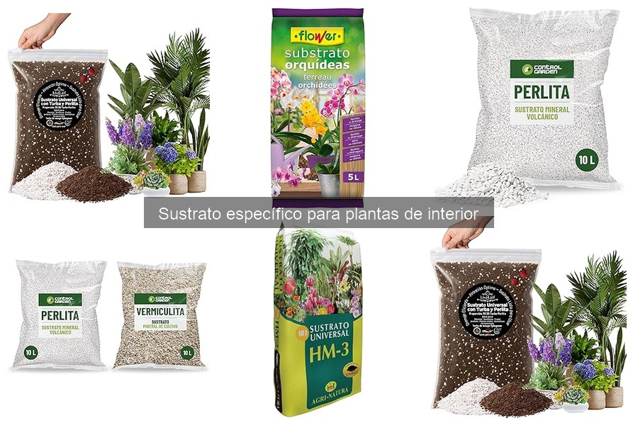 Alternativas al Sustrato Tradicional para Plantas de Interior