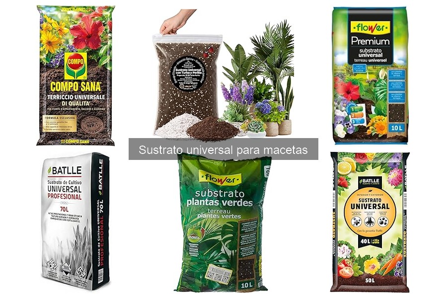 Alternativas al Sustrato Universal para Cultivar en Macetas