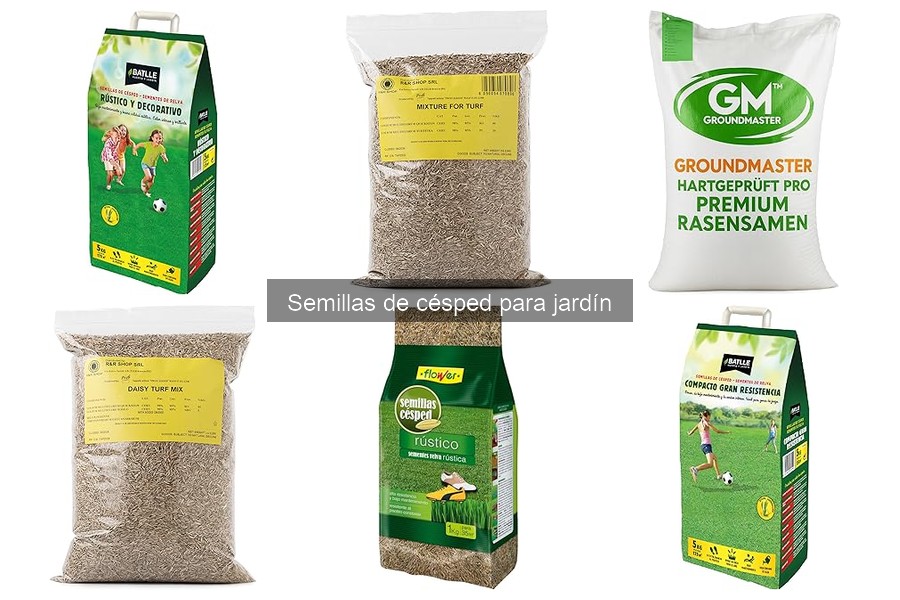 Alternativas cuando las semillas de césped no germinan