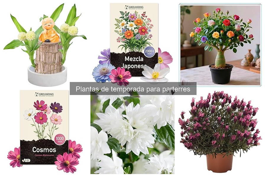 Alternativas de Plantas para Parterres en Climas Fríos