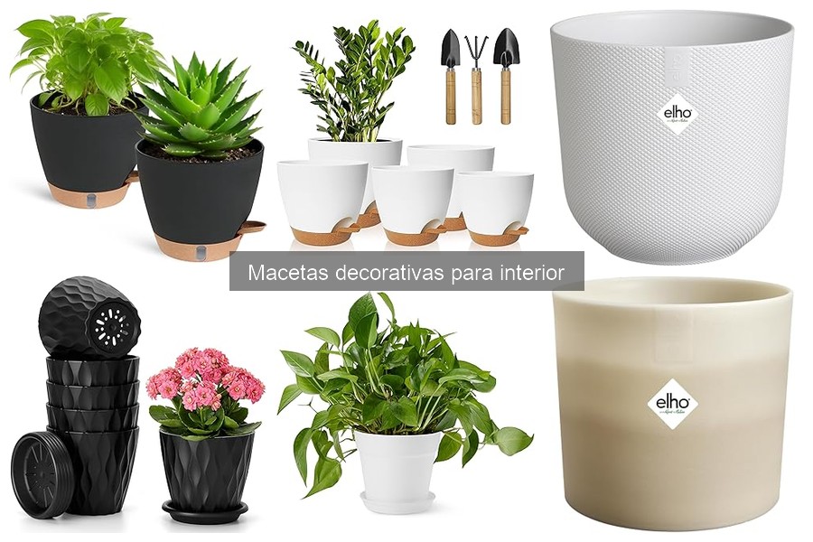 Alternativas ecológicas a las macetas de plástico