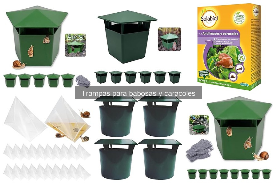 Alternativas Efectivas a las Trampas para Babosas y Caracoles