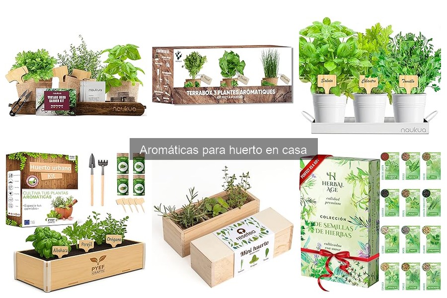 Alternativas inesperadas a hierbas aromáticas para tu huerto