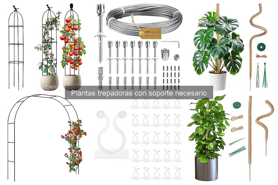 Alternativas innovadoras a plantas trepadoras clásicas