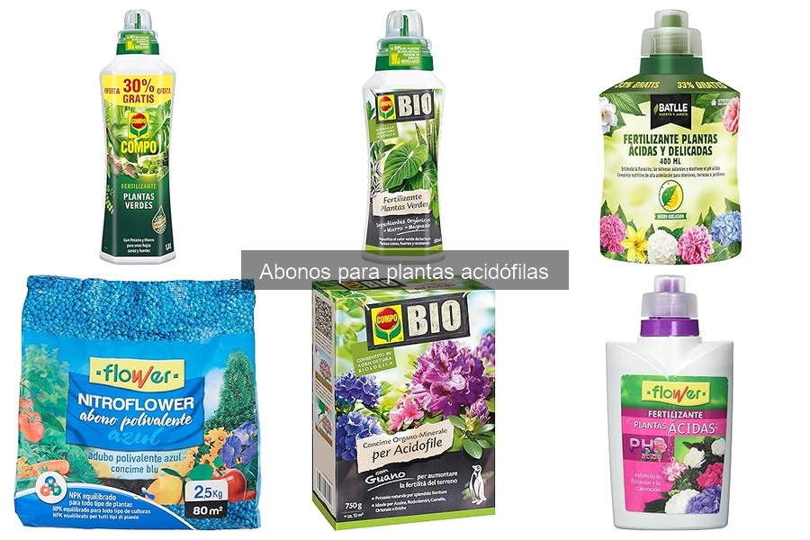 Alternativas Naturales a Abonos para Plantas Acidófilas