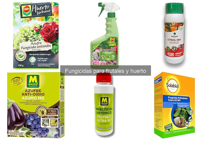 Alternativas naturales a fungicidas en frutales y huerto