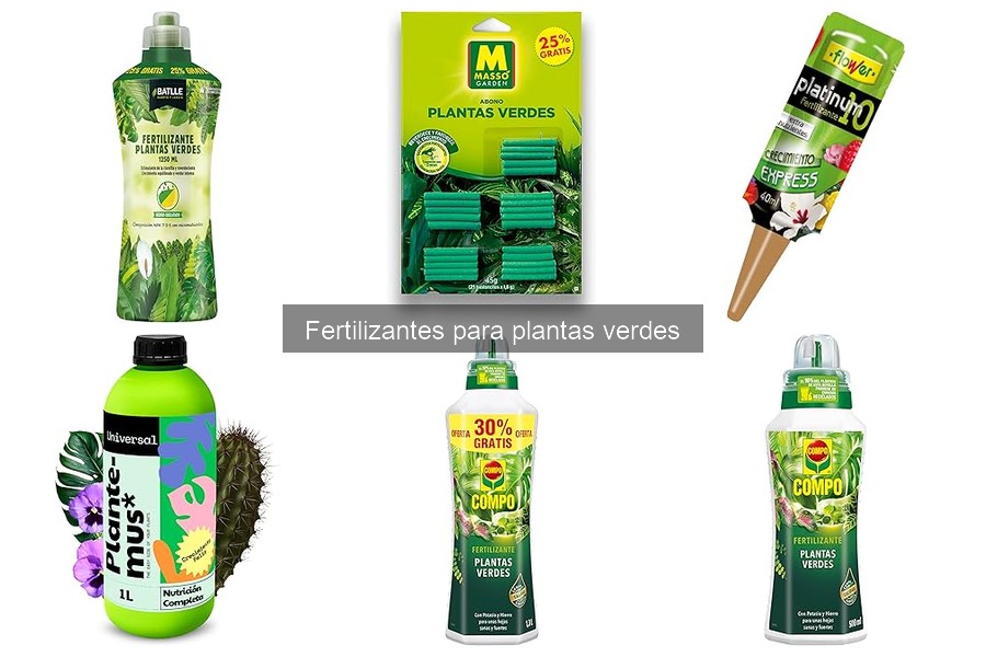 Alternativas naturales a los fertilizantes para plantas verdes