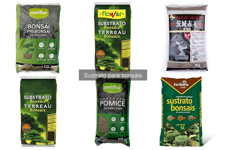 ** Alternativas Naturales al Sustrato Comercial para Bonsáis