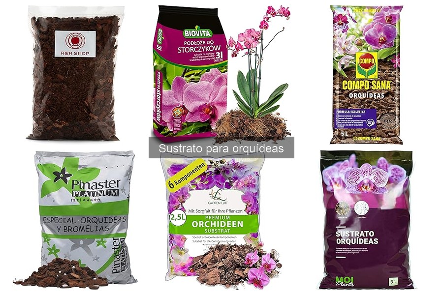 Alternativas Naturales al Sustrato Comercial para Orquídeas
