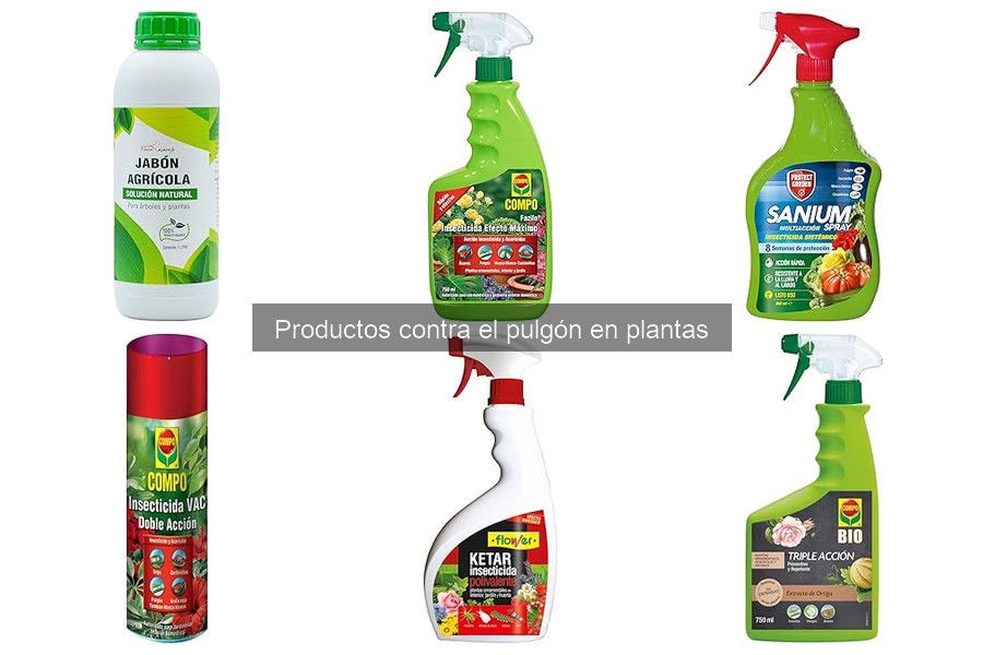 Alternativas Naturales para Combatir Pulgones en Plantas