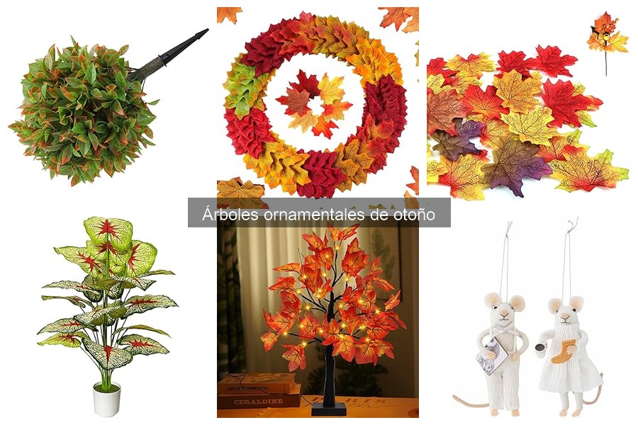 Árboles ornamentales que brillan en otoño: colores y variedades