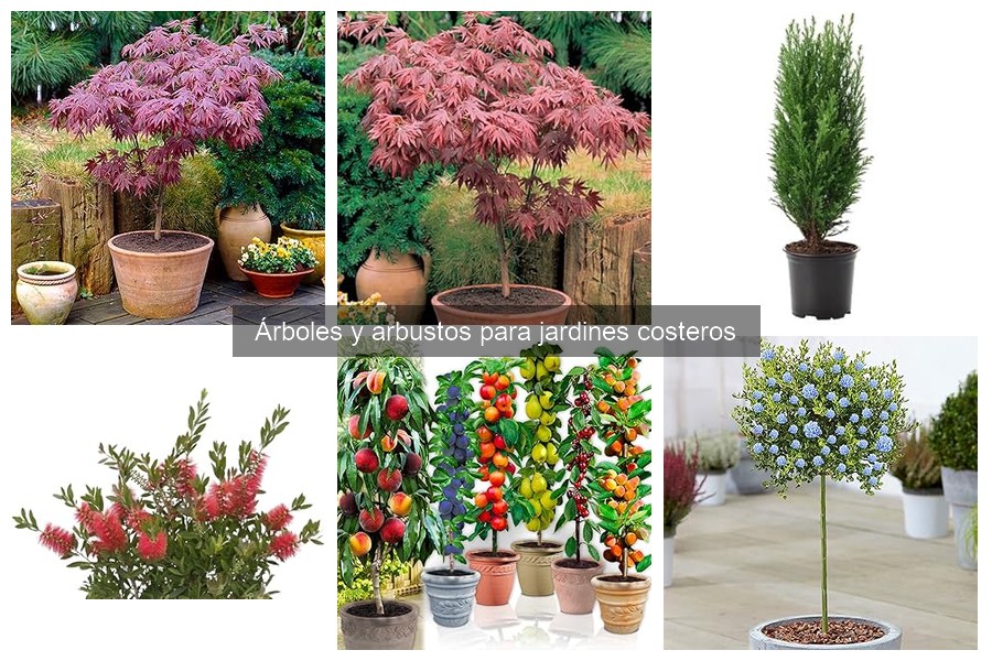 Árboles resistentes al viento para jardines costeros