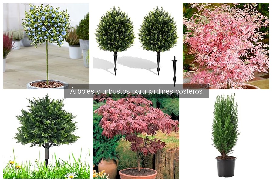 Árboles y arbustos ideales para jardines costeros