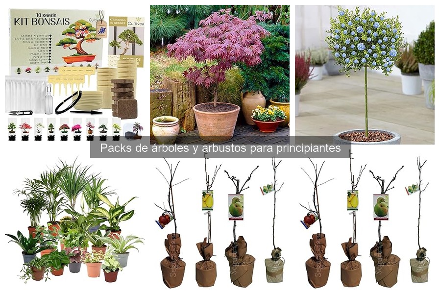 Árboles y arbustos ideales para principiantes en jardinería