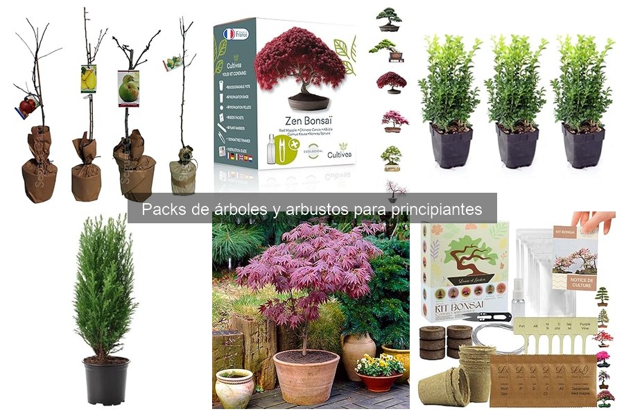 Beneficios de Comprar Packs de Árboles y Arbustos