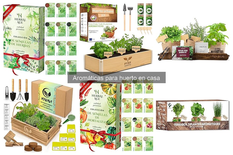 Beneficios de Cultivar Hierbas Aromáticas en Casa