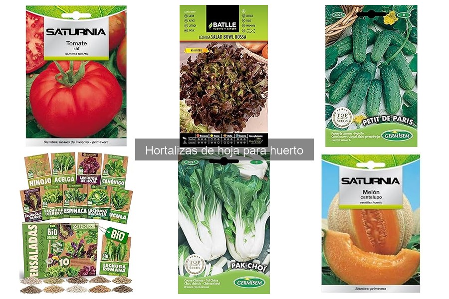 Beneficios de cultivar hortalizas de hoja en casa