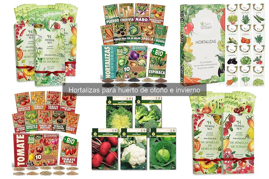 Beneficios de cultivar hortalizas en otoño e invierno