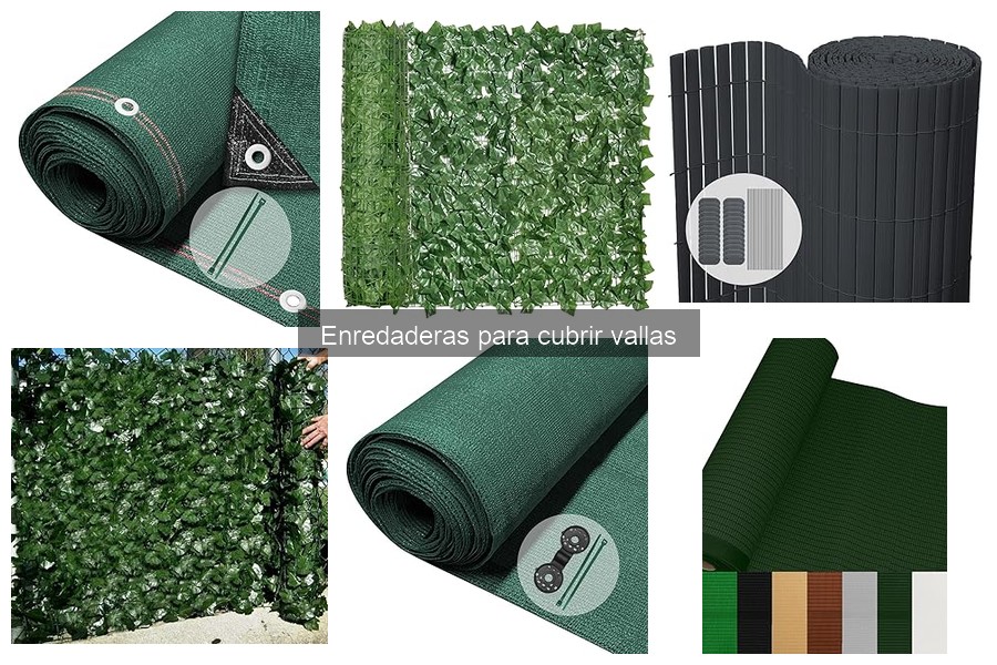 Beneficios de Enredaderas para Privacidad y Clima en el Jardín