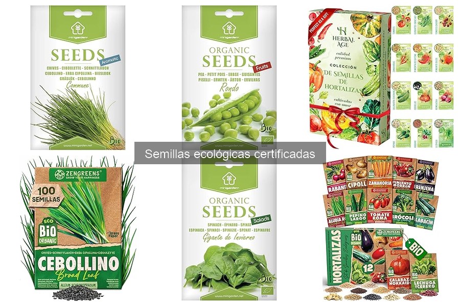 Beneficios de las semillas ecológicas en tu huerto doméstico