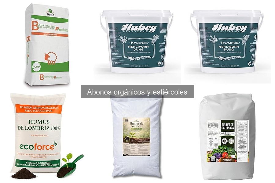 Beneficios de los abonos orgánicos para tus plantas