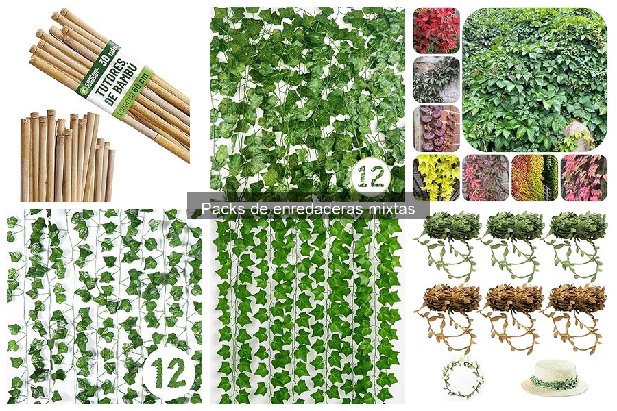 Beneficios de los Packs de Enredaderas Mixtas en Tu Jardín