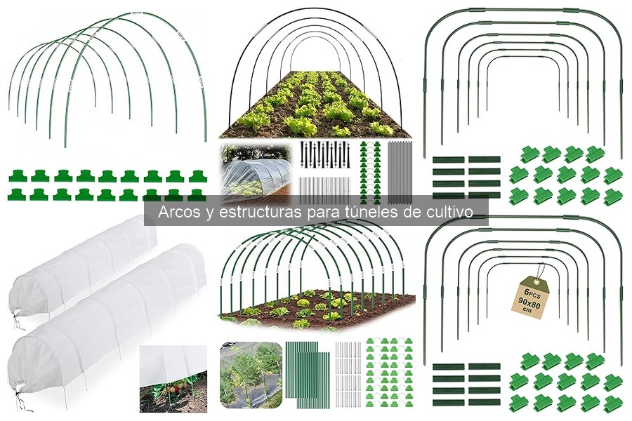 Beneficios de los túneles de cultivo con arcos