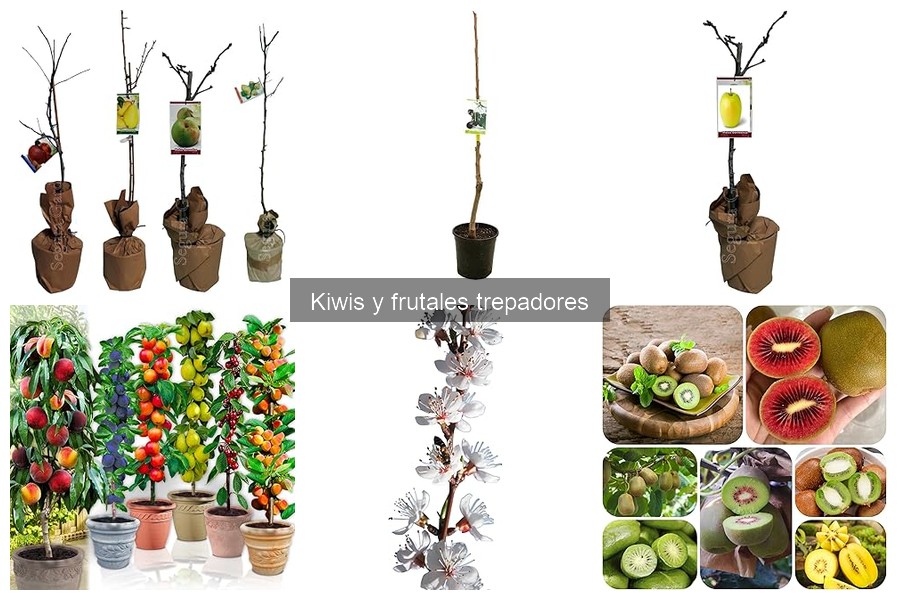 Beneficios de plantar frutales trepadores en huertos urbanos