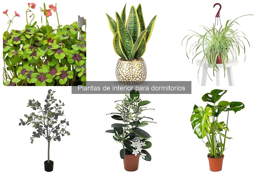 Beneficios de tener plantas en el dormitorio