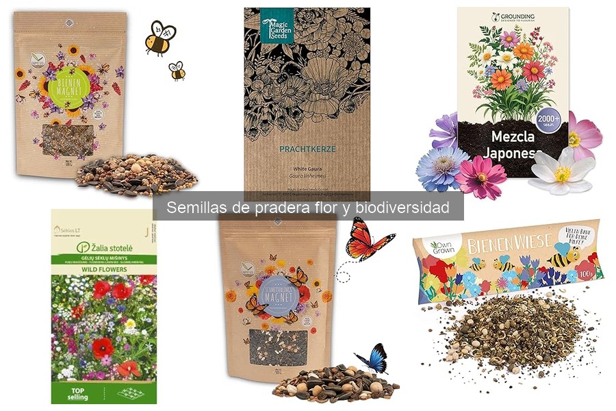 Beneficios de usar semillas de pradera floral en tu jardín