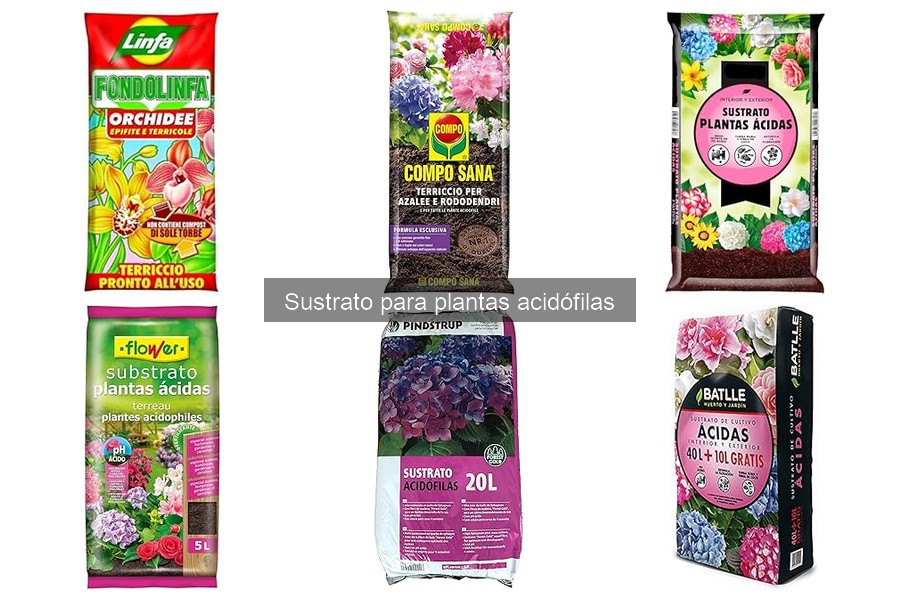 Beneficios del sustrato para plantas acidófilas en tu jardín