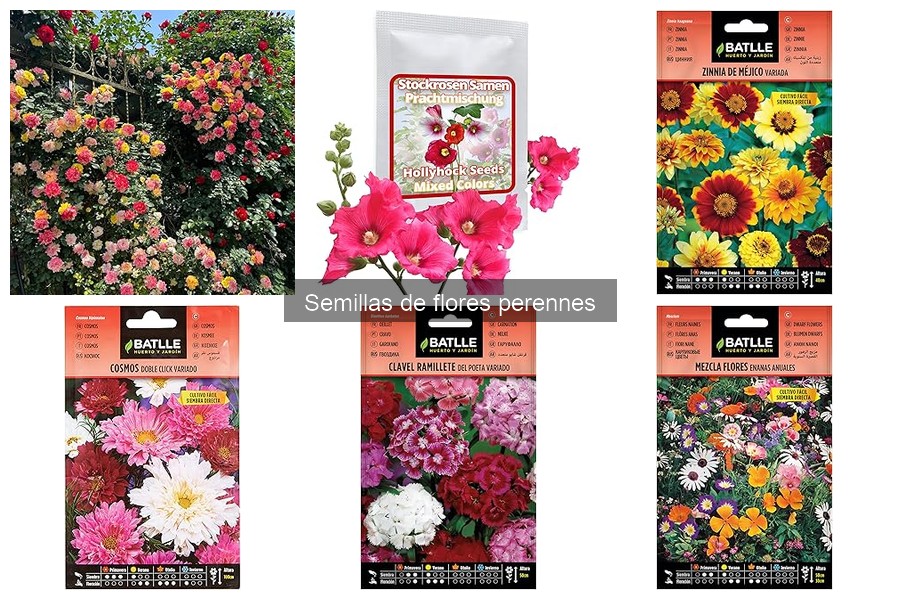 Beneficios ecológicos de las flores perennes en el jardín