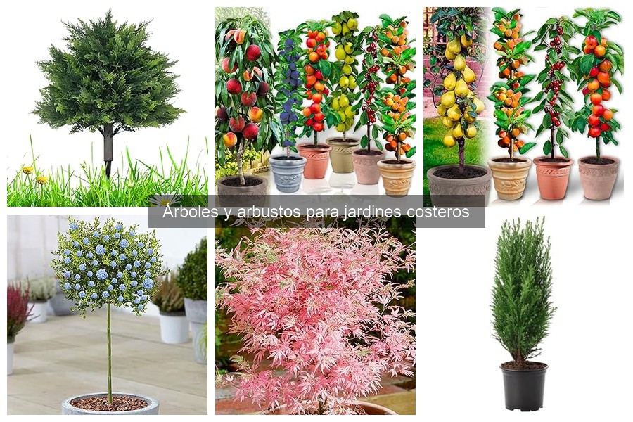 Características de los Mejores Arbustos para Jardines Costeros