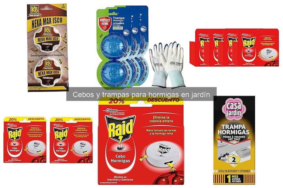 Cebos y trampas para hormigas: ¿Qué son y cómo funcionan?