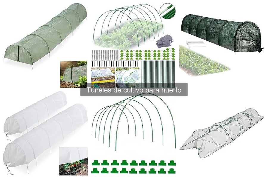 Climas ideales para túneles de cultivo en huertos