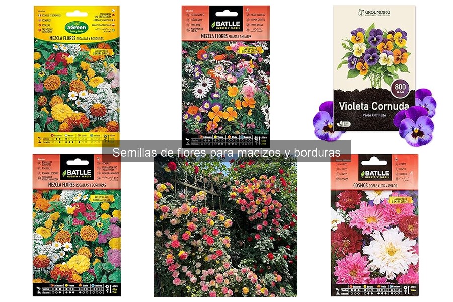 Cómo almacenar semillas de flores correctamente