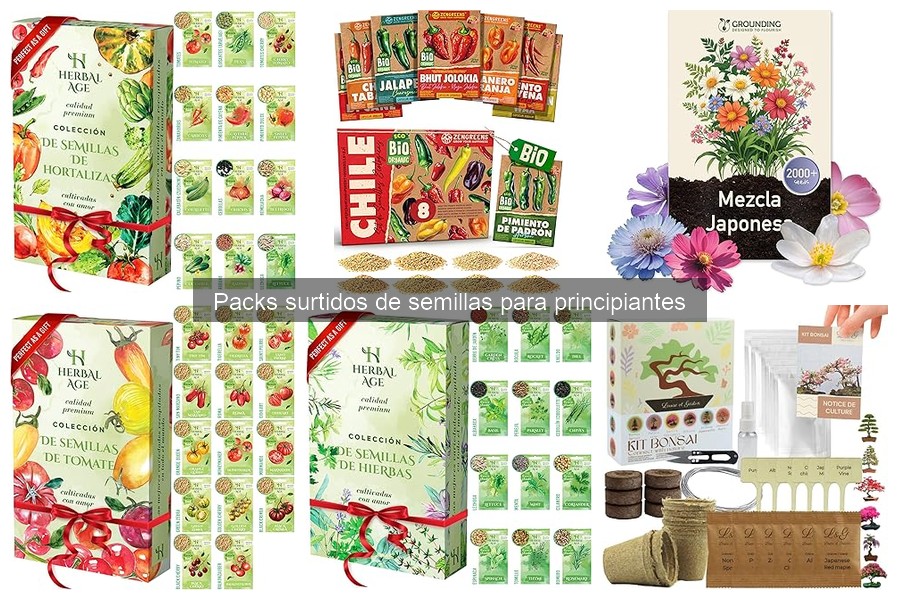 Cómo almacenar semillas sobrantes para futuros cultivos