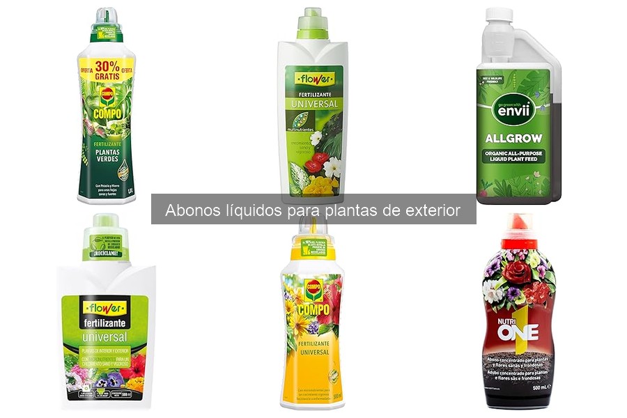 Cómo aplicar abono líquido a plantas de exterior fácilmente