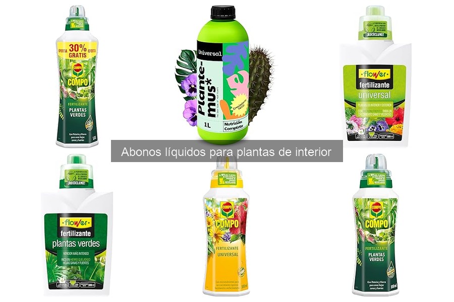 Cómo aplicar abono líquido a plantas de interior fácilmente