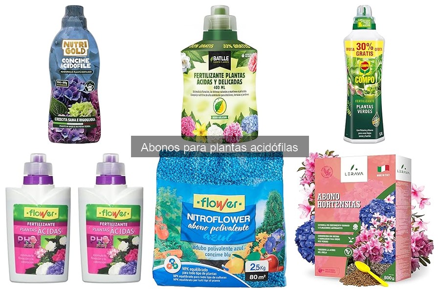 Cómo aplicar abonos para plantas acidófilas correctamente