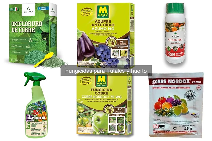 Cómo aplicar correctamente un fungicida en frutales