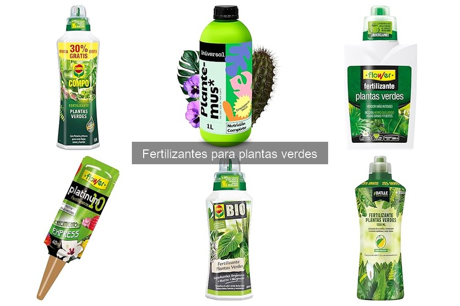 Cómo aplicar fertilizantes a plantas verdes eficazmente
