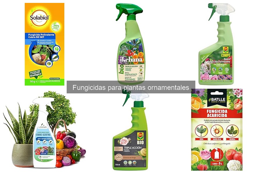 Cómo Aplicar Fungicidas a Plantas Ornamentales Efectivamente