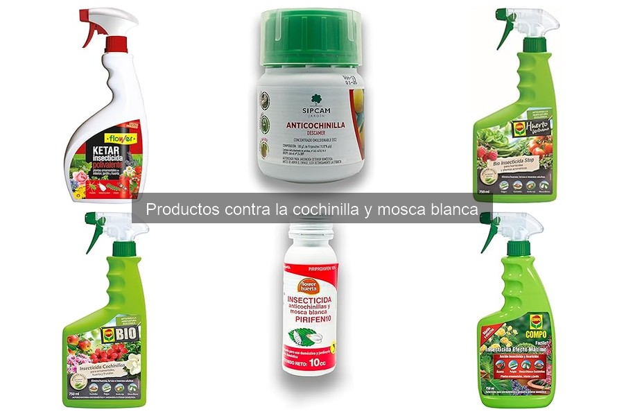 Cómo aplicar insecticidas contra cochinilla y mosca blanca