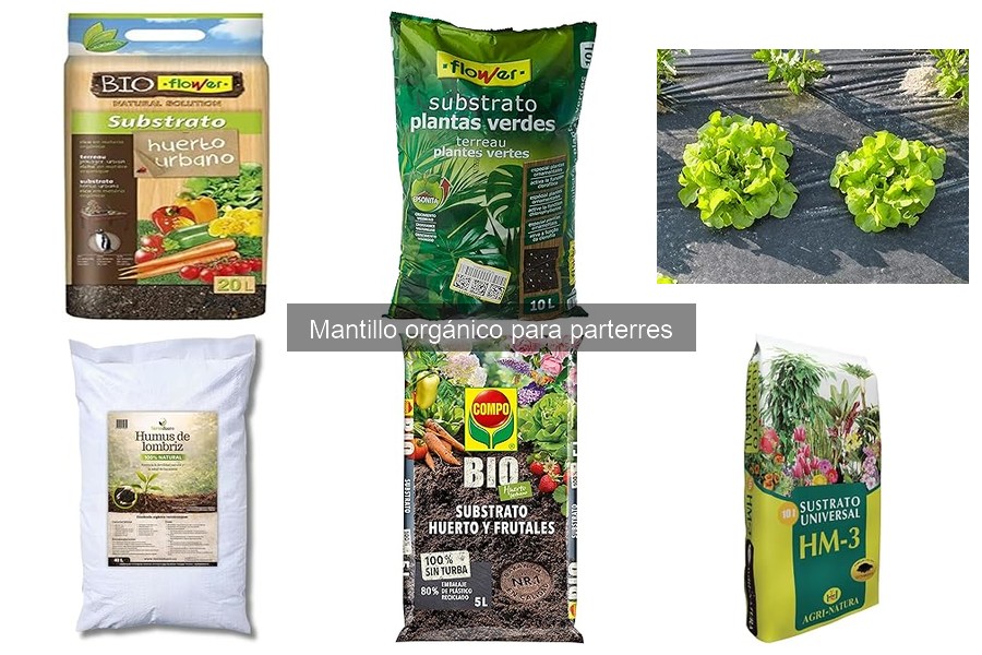 Cómo aplicar mantillo orgánico en tu jardín: guía práctica