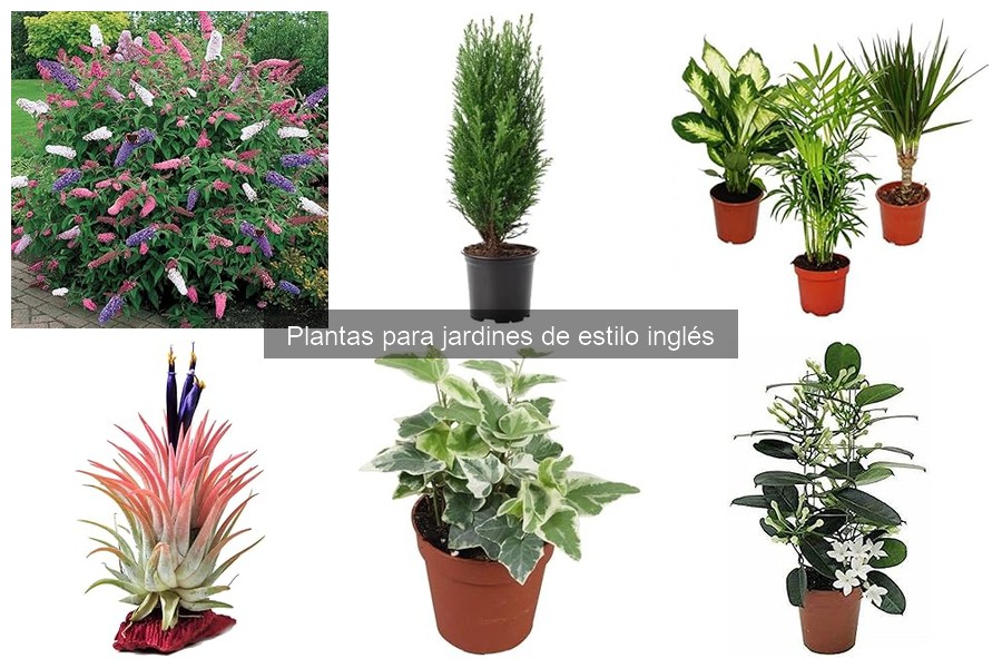 Cómo Combinar Colores en Jardines Ingleses: Guía Completa