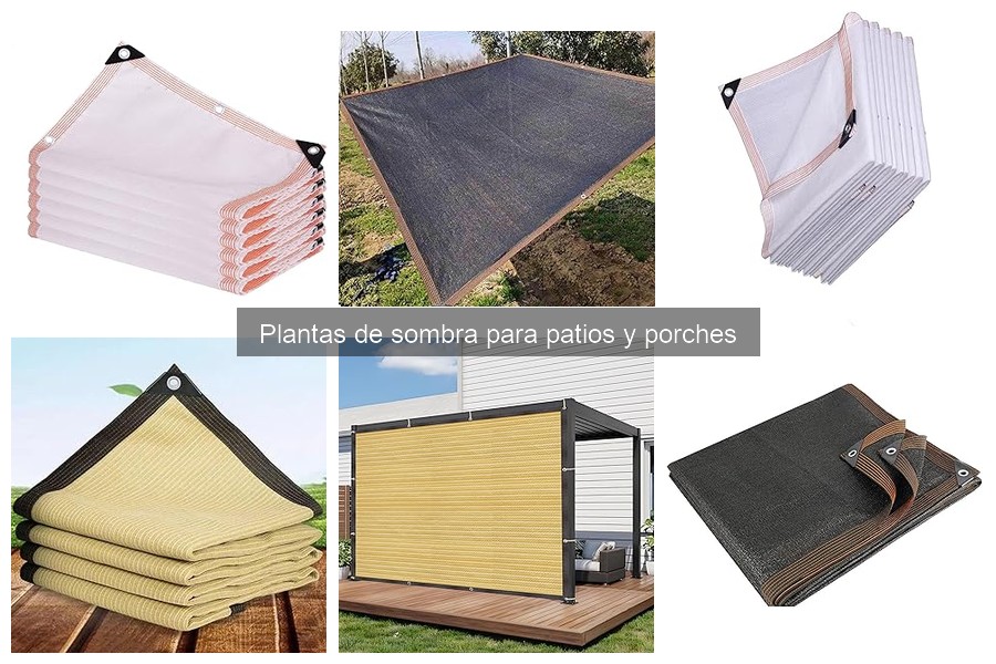 Cómo combinar plantas de sombra con plantas de sol