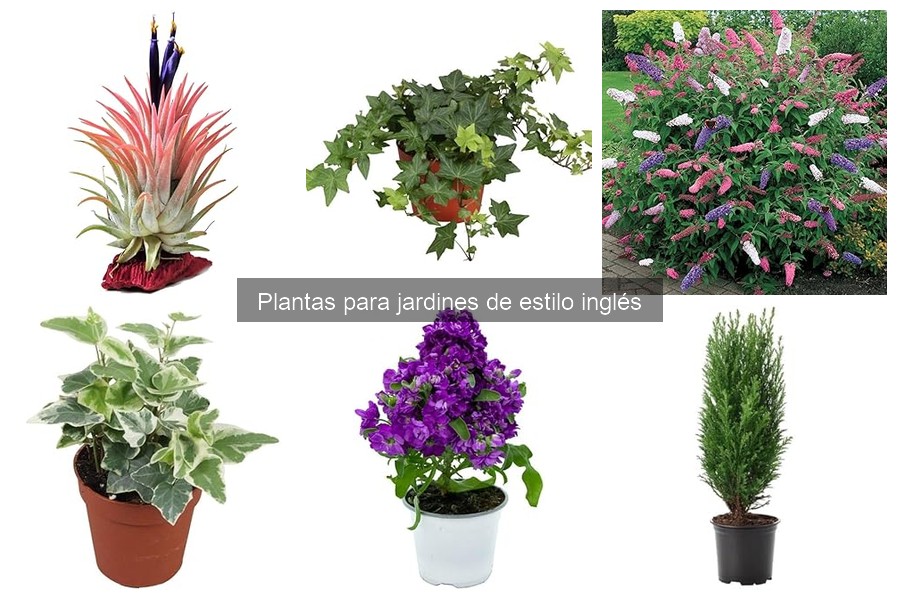 Cómo Crear un Encantador Jardín Inglés con Plantas y Elementos