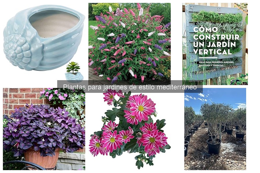 Cómo crear un jardín mediterráneo sostenible y hermoso